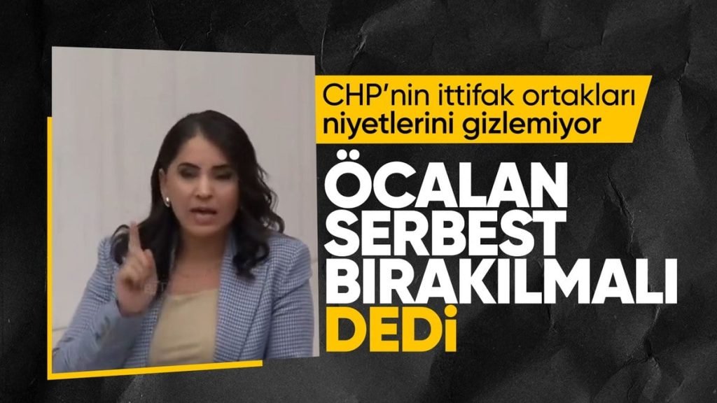 hdp’li-vekilden-tbmm’de-ocalan’a-ovgu