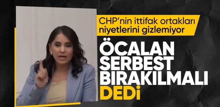 HDP’li vekilden TBMM’de Öcalan’a övgü