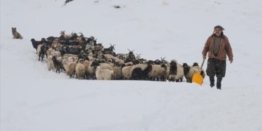 Hakkari’de etkili olan kar, hayvanlarını köylere indiren besicilerin işini zorlaştırdı