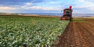 Kırsal kalkınma destekleri için 19 Şubat’a kadar başvuru yapılabilecek