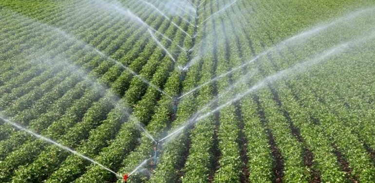 Tarım yatırımlarında en büyük pay sulama projelerine