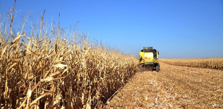 Çiftçilerin 3,5 milyar liralık tarımsal destekleme ödemesi yapıldı