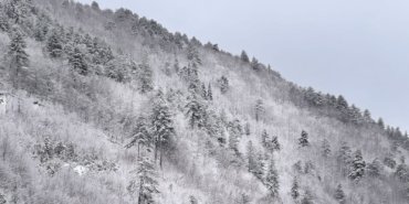 Kastamonu’da ormanlar beyaz örtüyle kaplandı