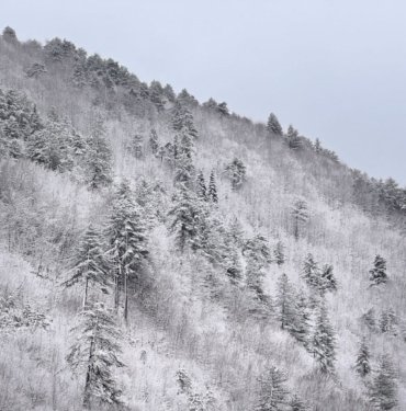 Kastamonu’da ormanlar beyaz örtüyle kaplandı