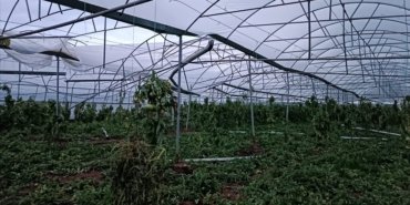 Antalya’da hortum seralara zarar verdi