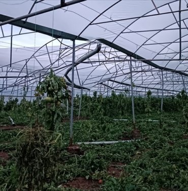 Antalya’da hortum seralara zarar verdi