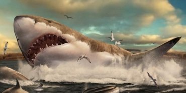 Megalodon zannedildiği kadar devasa değildi