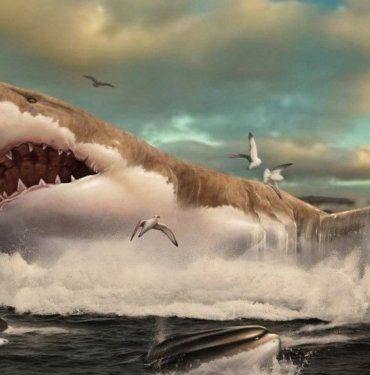 Megalodon zannedildiği kadar devasa değildi