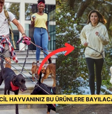 Bu Yıl Yeni Ev Arkadaşınız Patili Bir Dostsa Hemen Satın Almanız Gereken 15 Şey
