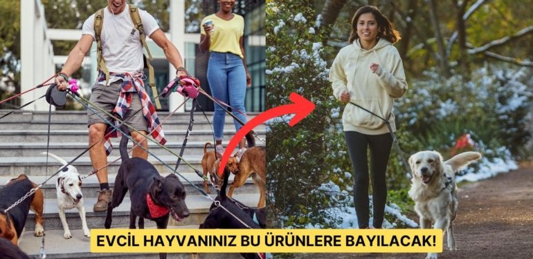 Bu Yıl Yeni Ev Arkadaşınız Patili Bir Dostsa Hemen Satın Almanız Gereken 15 Şey