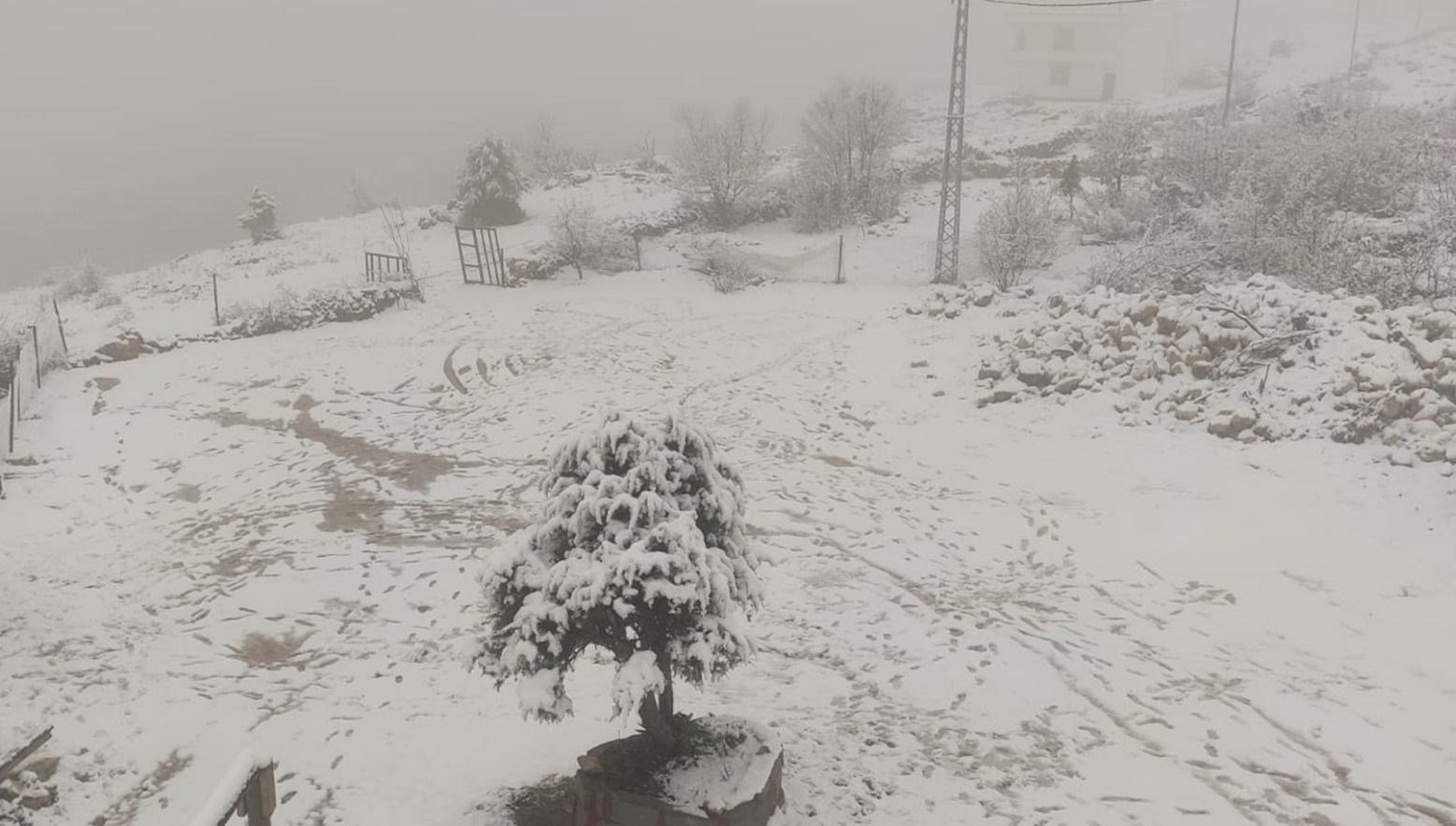 Diyarbakır’da kar yağışı