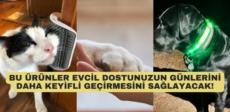 Evdeki Dostlarımız İçin Muhteşem Olduğu Söylenen 12 Ürün