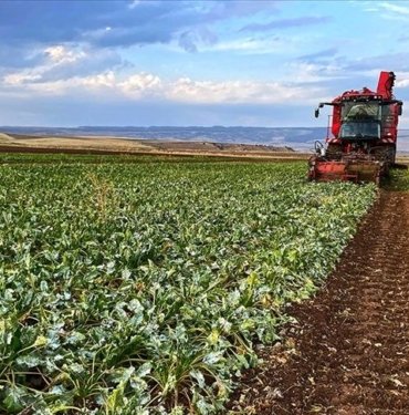 AB’den çiftçileri yatıştıracak adım: Ukrayna’dan ithalat sınırlandılıyor