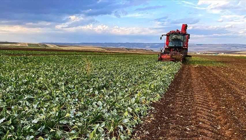 AB’den çiftçileri yatıştıracak adım: Ukrayna’dan ithalat sınırlandılıyor
