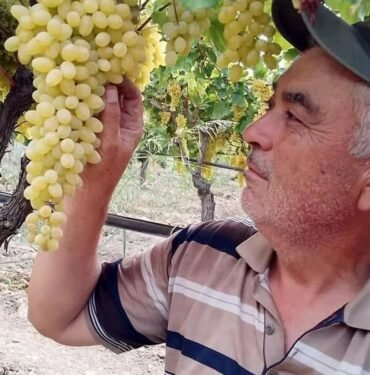manisa’da-cinayet!-av-tufegiyle-vurulan-ciftci-hayatini-kaybetti
