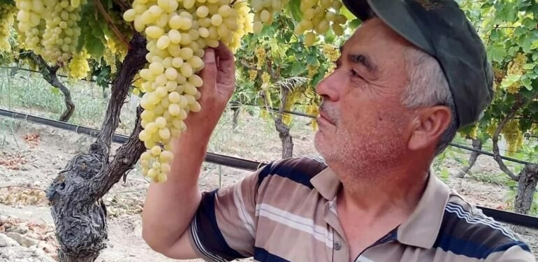 Manisa’da cinayet! Av tüfeğiyle vurulan çiftçi hayatını kaybetti