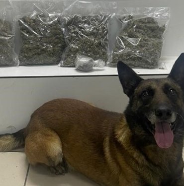 edremit’te-2-kilo-118-gram-uyusturucu-ele-gecirildi