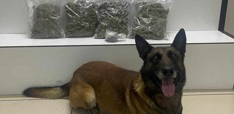 Edremit’te 2 kilo 118 gram uyuşturucu ele geçirildi