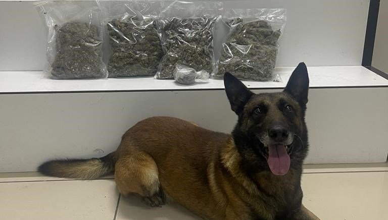 edremit’te-2-kilo-118-gram-uyusturucu-ele-gecirildi