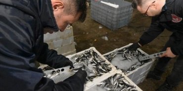 yasa-disi-su-urunleri-avciligina-74-milyon-lira-ceza