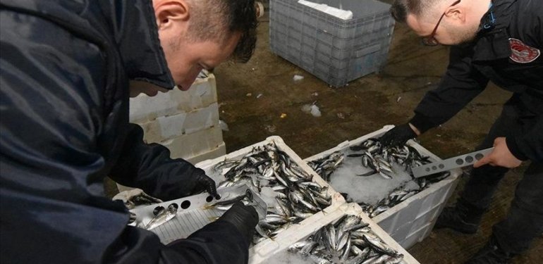 Yasa dışı su ürünleri avcılığına 74 milyon lira ceza