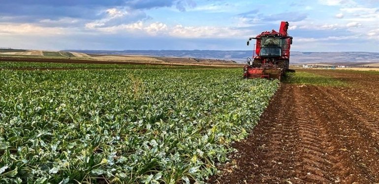 Tarımsal yayım ve danışmanlık desteği belli oldu