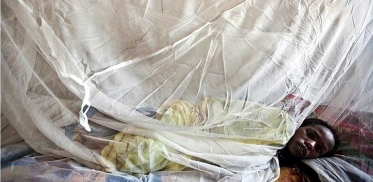 Nijerya’da geçen yıl Lassa ateşinden 219 kişi hayatını kaybetti