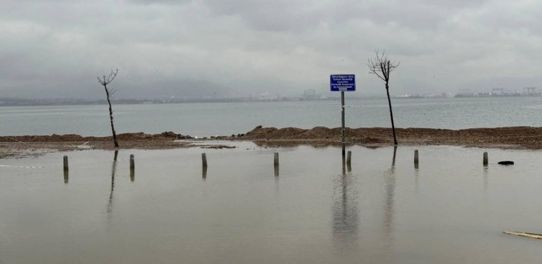 Kocaeli