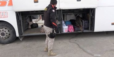 kirikkale’de-tir’in-dorsesine-gizlenmis-60,5-kilogram-skunk-ele-gecirildi