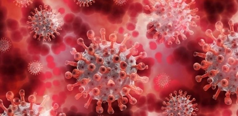 maymun-cicegi-virusu-(mpox)-nedir,-nasil-bulasir?-maymun-cicegi-virusu-belirtileri