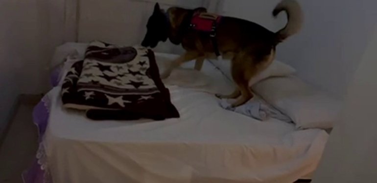 Bazanın içerisindeki uyuşturucuyu narkotik köpeği buldu
