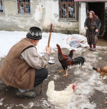 ahmet-dede-ve-raziye-nine-omurlerinin-66-yilini-hayvanciliga-verdi