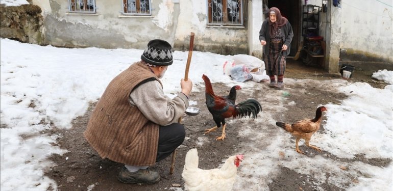 Ahmet dede ve Raziye nine ömürlerinin 66 yılını hayvancılığa verdi
