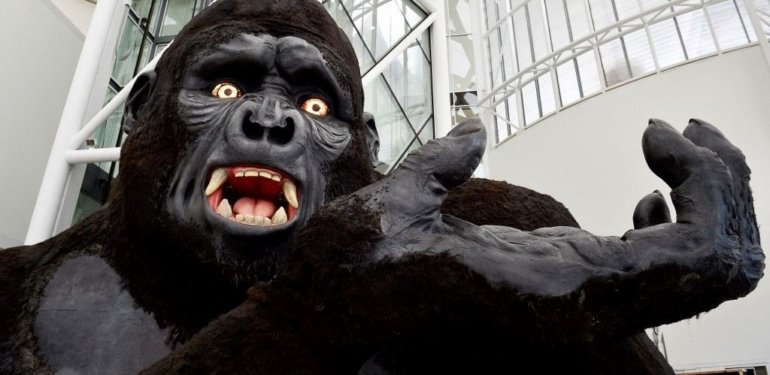 Gerçek King Kong bulundu! Bilim insanları neslinin neden tükendiğini ortaya çıkardı