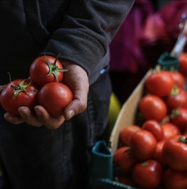 İstanbullular 2023’te en çok domates ve karpuz tüketti