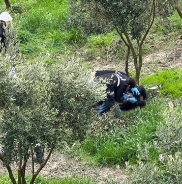 Hatay’da zeytin bahçesinde ceset bulundu