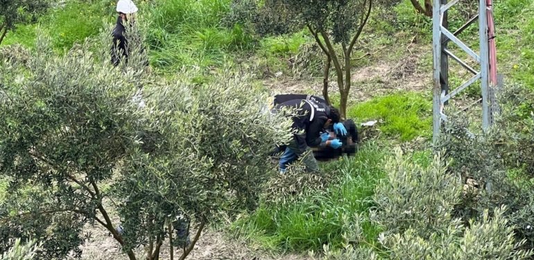Hatay’da zeytin bahçesinde ceset bulundu