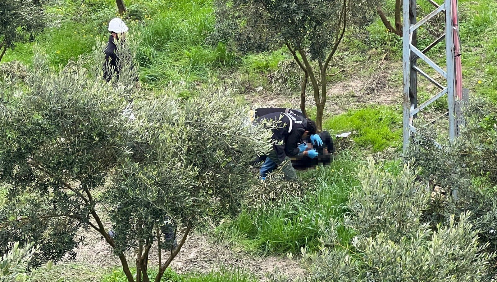 Hatay’da zeytin bahçesinde ceset bulundu