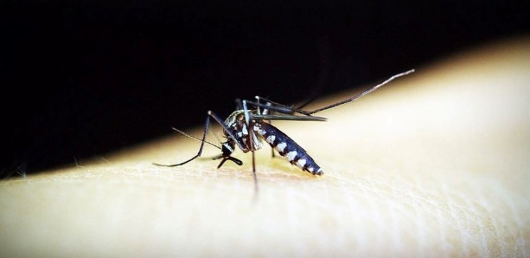 Cabo Verde, Afrika’da sıtmadan kurtulan 3’üncü ülke oldu