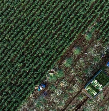 Tarım sektörü 2023 yılını rekor ihracatla tamamladı