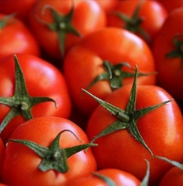 Fransa ve İspanya arasında domates tartışması