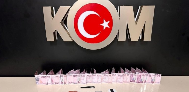 Van’da gümrük kaçakçılığı operasyonları