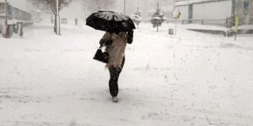 Ardahan, Artvin, Van ve Ağrı’da eğitime kar engeli (Çarşamba günü hangi illerde okullar tatil?)