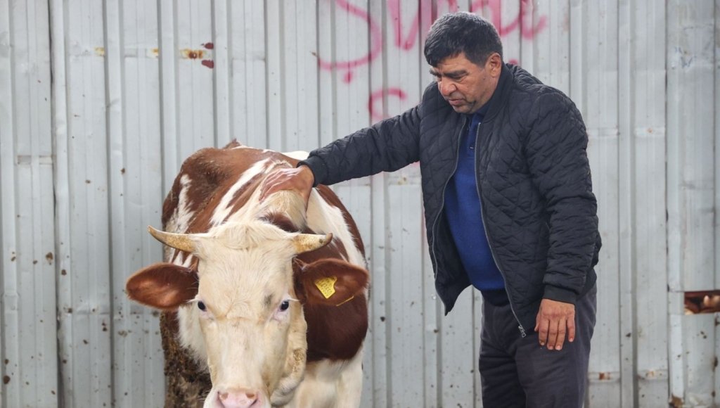 Depremzede besicilerden çağrı: Kamu alım yapsın