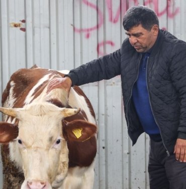 Depremzede besicilerden çağrı: Kamu alım yapsın