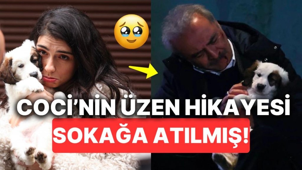 İnci Taneleri’nin Minik Emekçisi Coci’nin Yılmaz Erdoğan Tarafından Sahiplenilerek Kadroya Dahil Olma Hikayesi