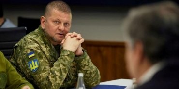 Ukrayna Genelkurmay Başkanı Zalujni görevden alındı