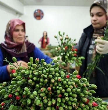 Türkiye’den 7 milyon dolarlık çiçek ihracatı