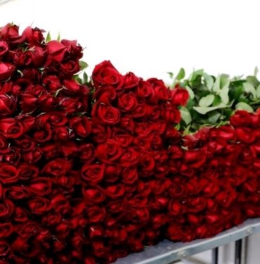 Güle 14 Şubat tarifesi: Dalında 25, çiçekçide 150 lira