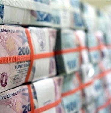 Hazine 24,8 milyar lira borçlandı